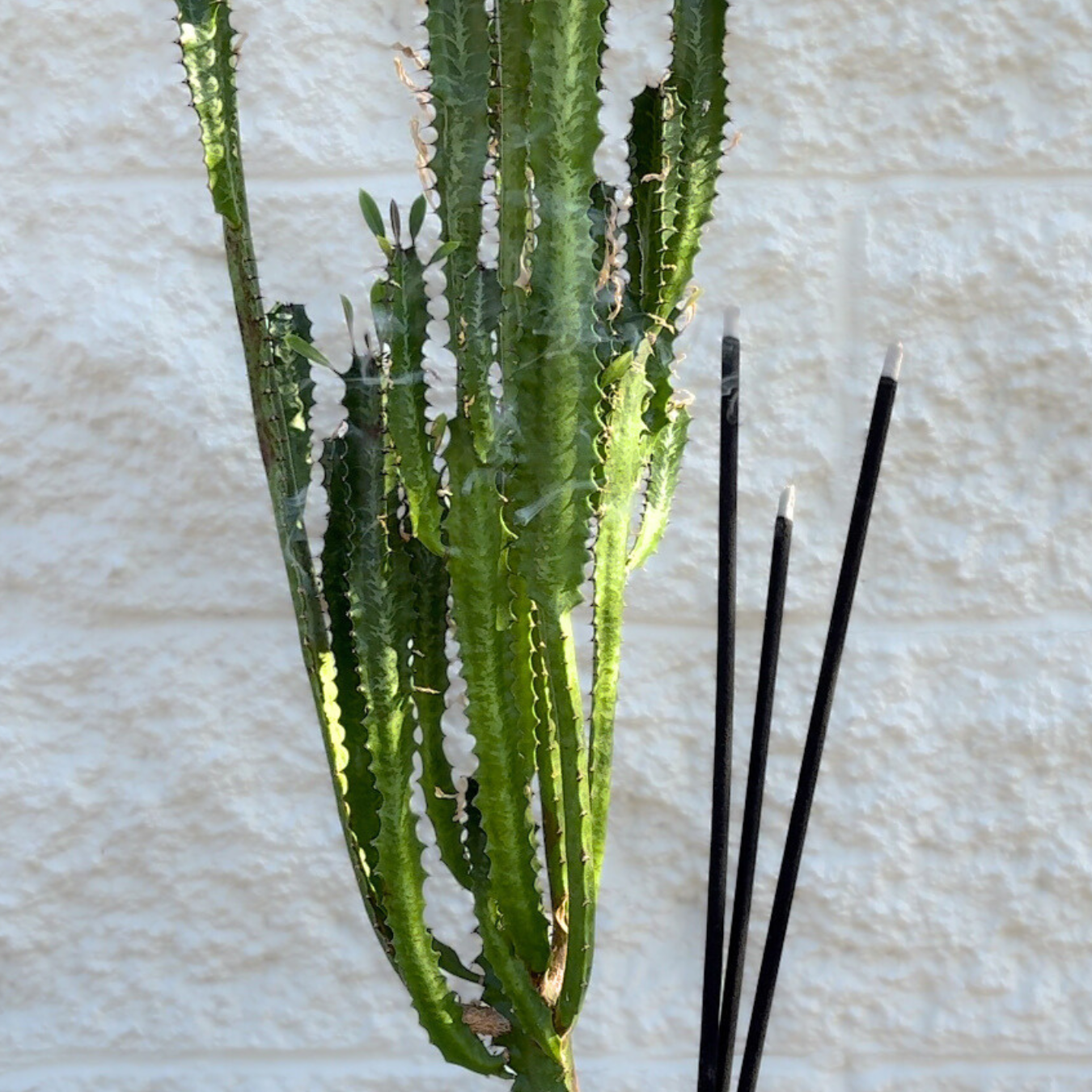 Bloomwell - Wholesale Incense - Golden Hour - Outdoor/Jumbo Incense Sticks1