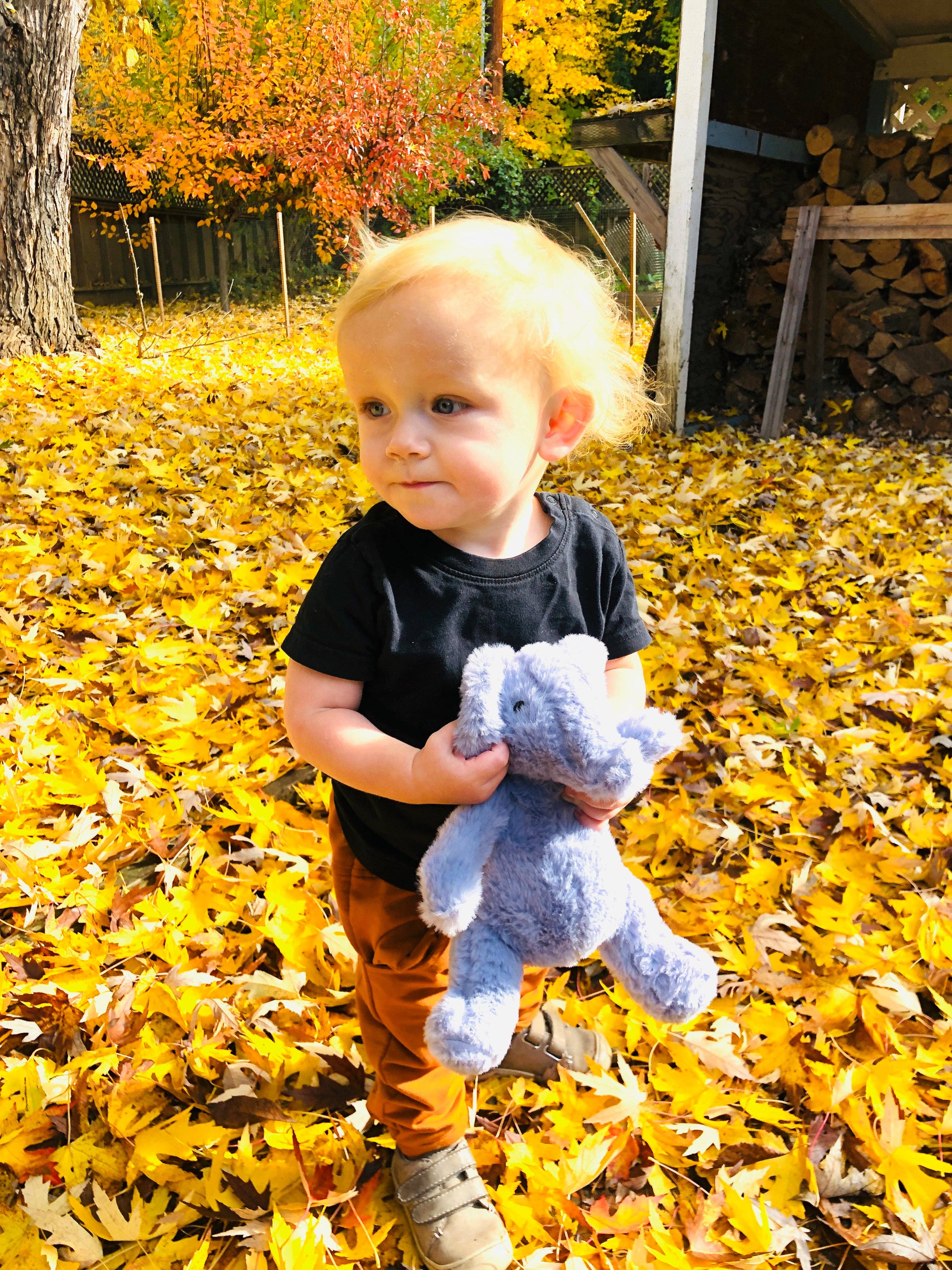 Firefly Delights LLC - Wholesale Stuffed/Plush Toy - Kids & Baby - Elephant Plush Toy3