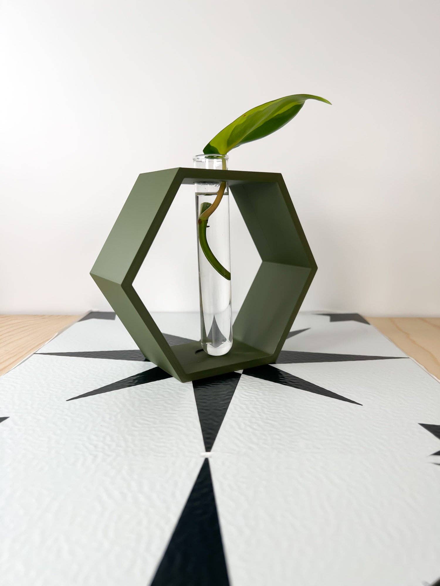 Rosebud Homegoods - Wholesale Plant Pot Stand - Hexagon Propagation Station13