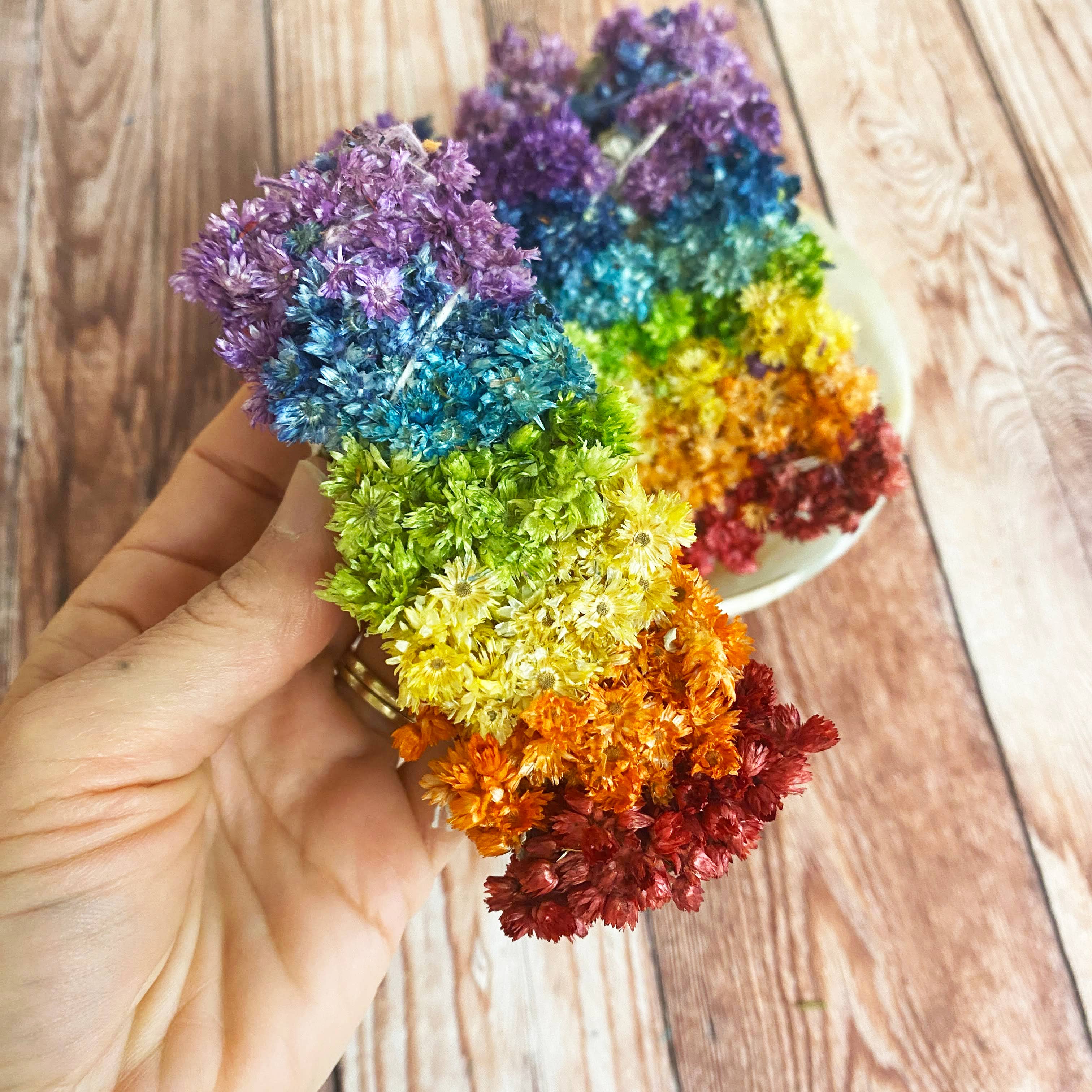 Oakwind Hollow - Wholesale Smudge Stick - Rainbow Chakra Mullein Floral Smudge Stick0