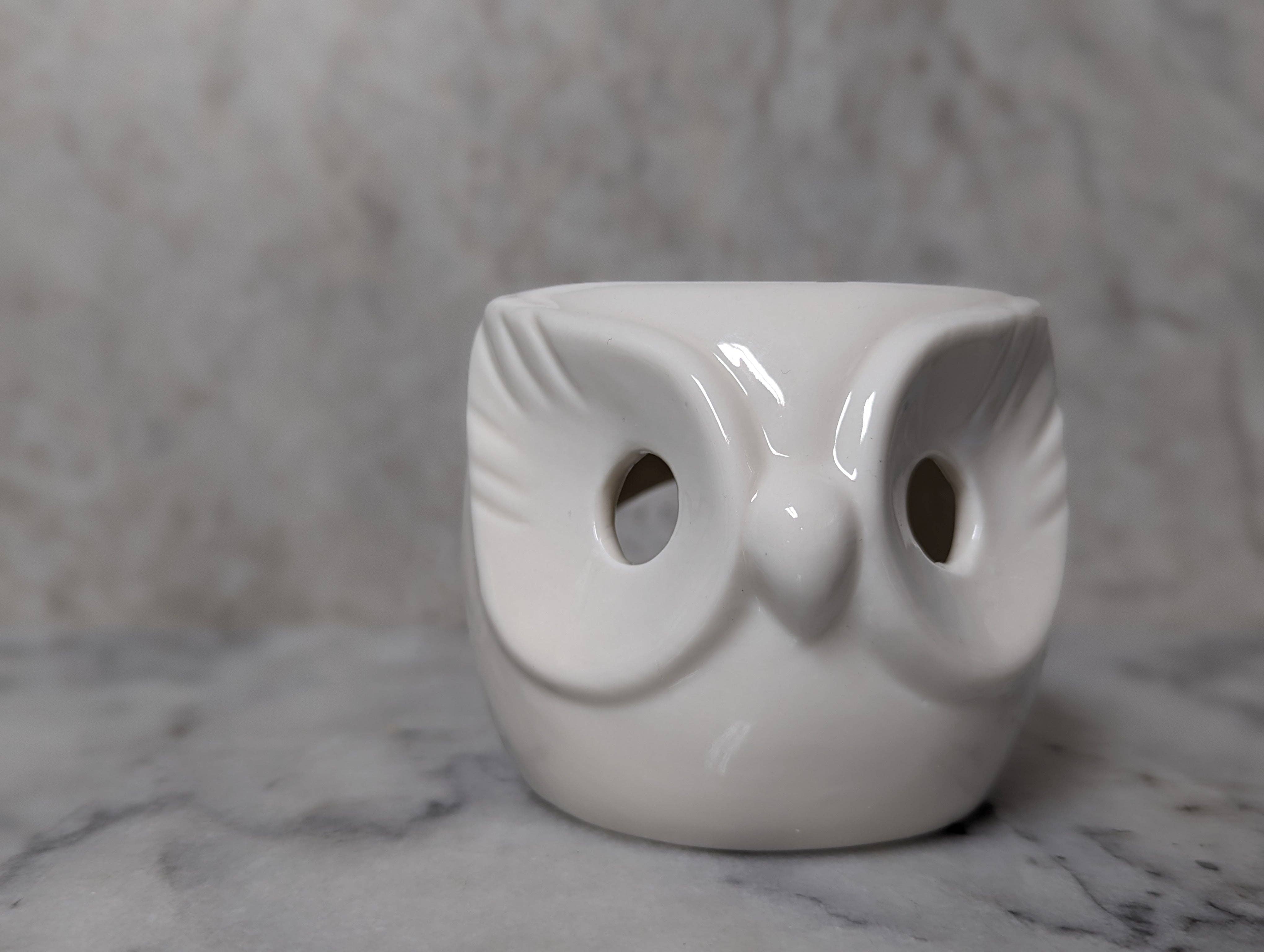 George Jack Candle Co - Wholesale Wax Warmer - Ceramic Owl Wax Warmer1