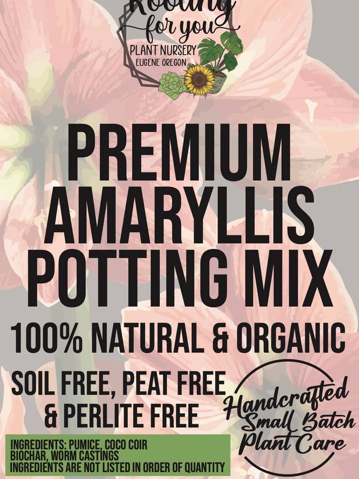 Miscela per invasatura Amaryllis Premium per la vendita all'ingrosso da parte di Rooting For You Plant Nursery