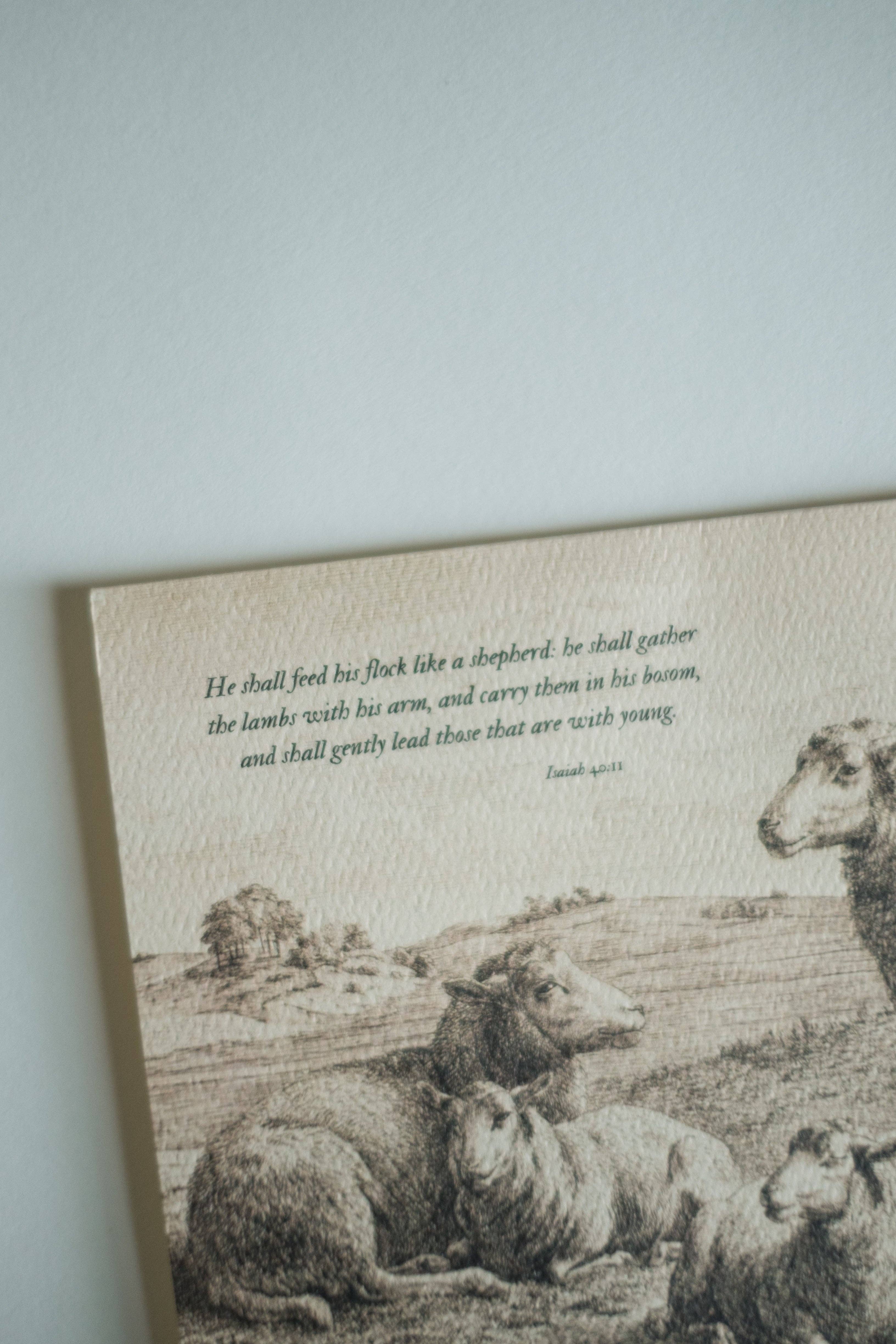 These Stones - Wholesale Stationery/Notecard Set - He Shall Gently Lead Note Card Set3