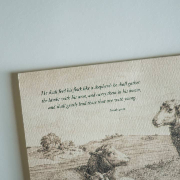 These Stones - Wholesale Stationery/Notecard Set - He Shall Gently Lead Note Card Set3