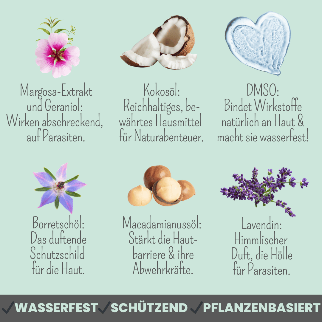 Noms+ – wholesale Pet spray – Dog – Waterproof spot-on for dogs against ticks, fleas, mites & mosquitoes [year supply]2