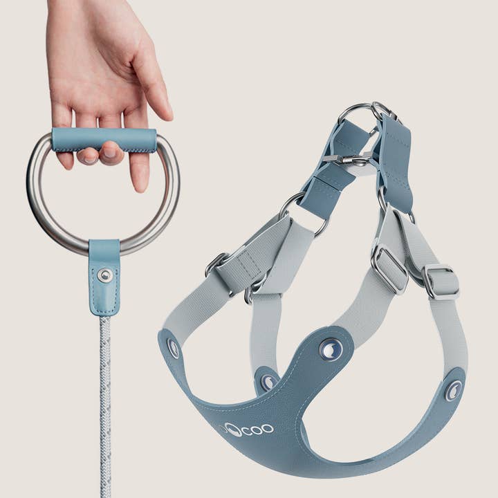 #OOTD Leash & Harness Set - Metal for wholesale by Voocoo