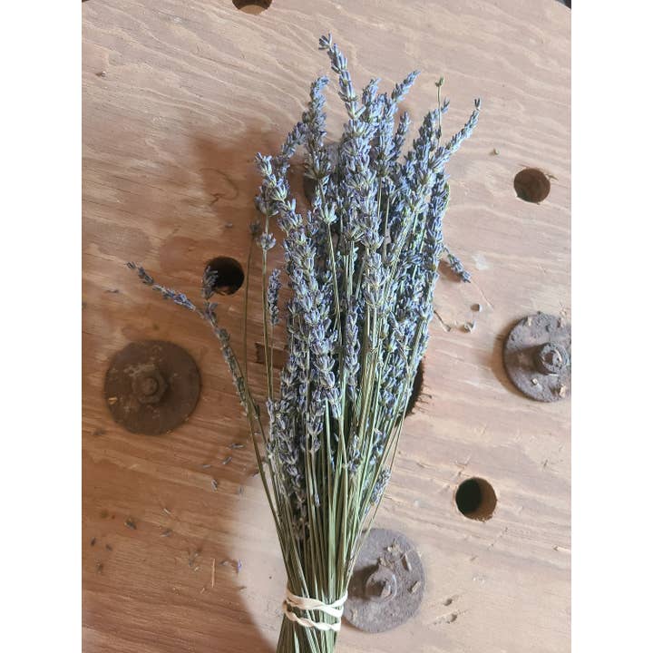 Lavender Vibes LLC - Wholesale Dried/Pressed Flowers - Lavender Grosso Bundle- individually wrapped3