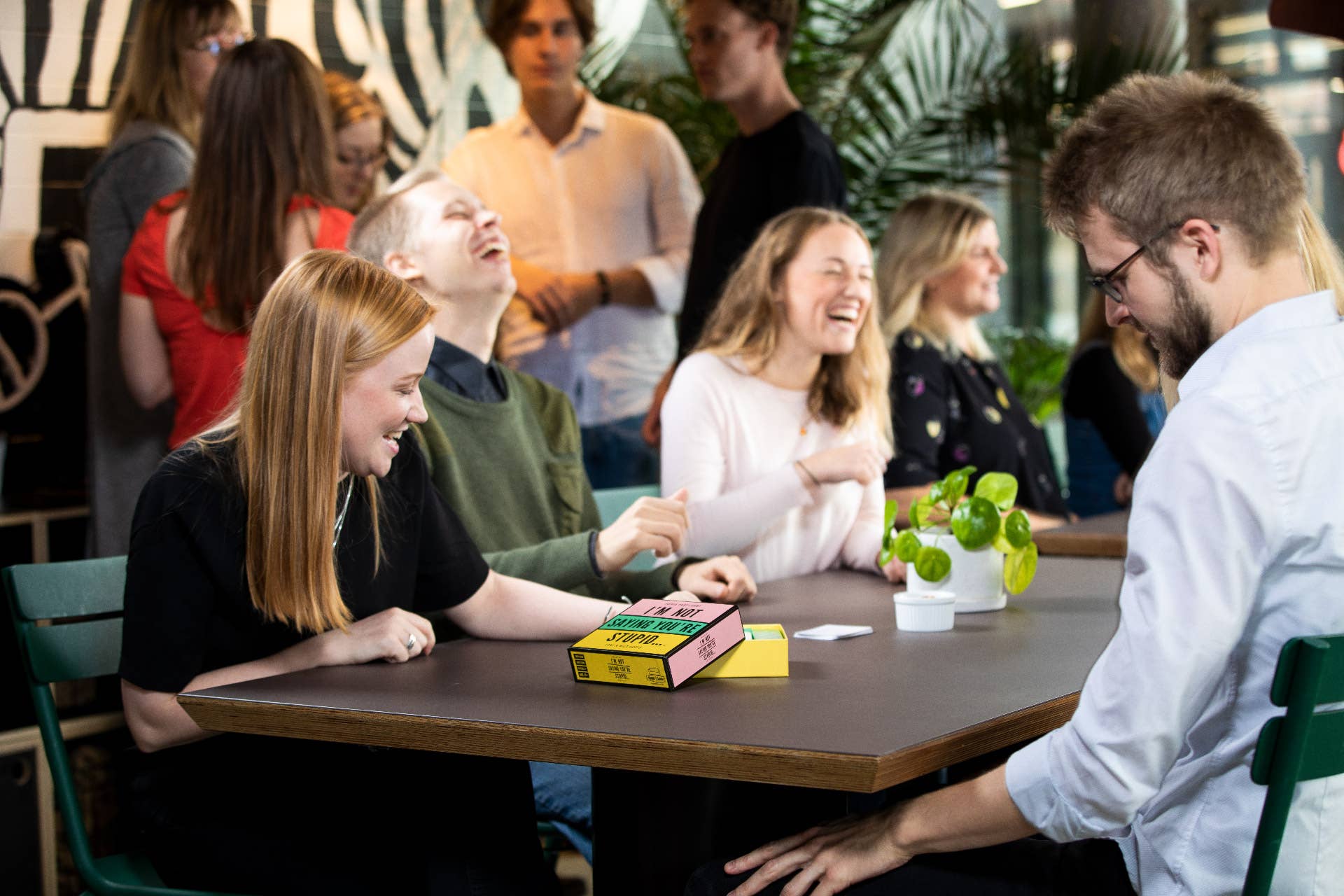 Hygge Games – wholesale Card game – Card Game - I'm Not Saying You're Stupid3