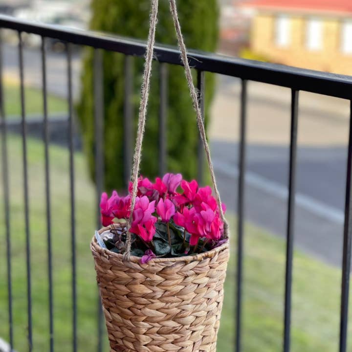 HAMI & CO - Wholesale Hanging planter - HMW22 Round Waterhyacinth Indoor hanging planter, PE liner1