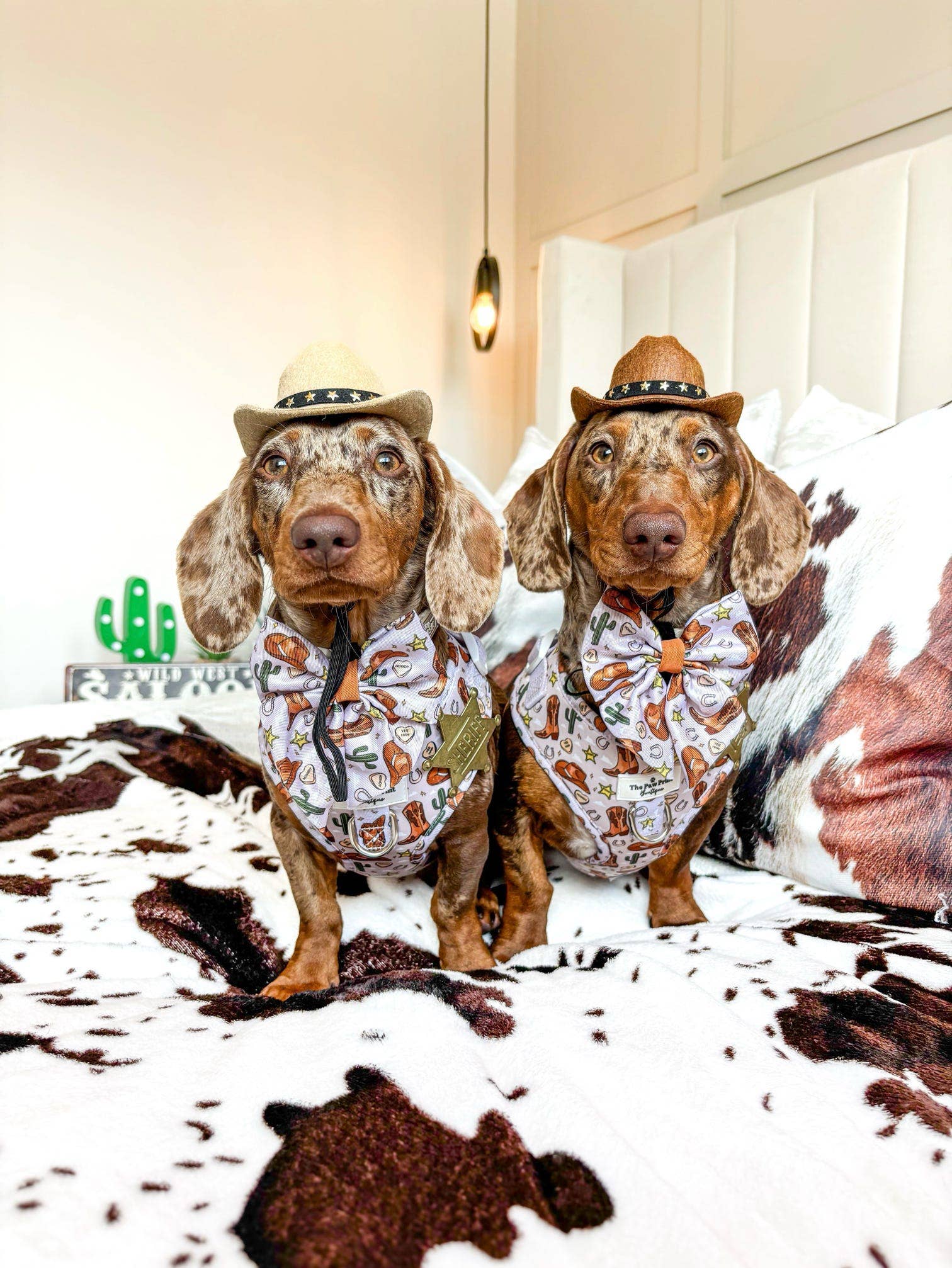 The Paw Print Boutique – wholesale Pet harness – Dog – Howdy Pawtner Adjustable Harness3