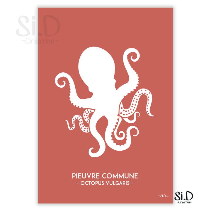 Poster comune a forma di polpo per la vendita all'ingrosso da parte di Si.D
