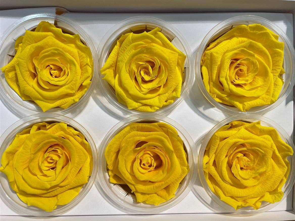 Dutch Flower Studio - Wholesale Artificial Flowers - 🌸 Preserved Roses - 13 colors - Decoration - Flowers - 6 cm6