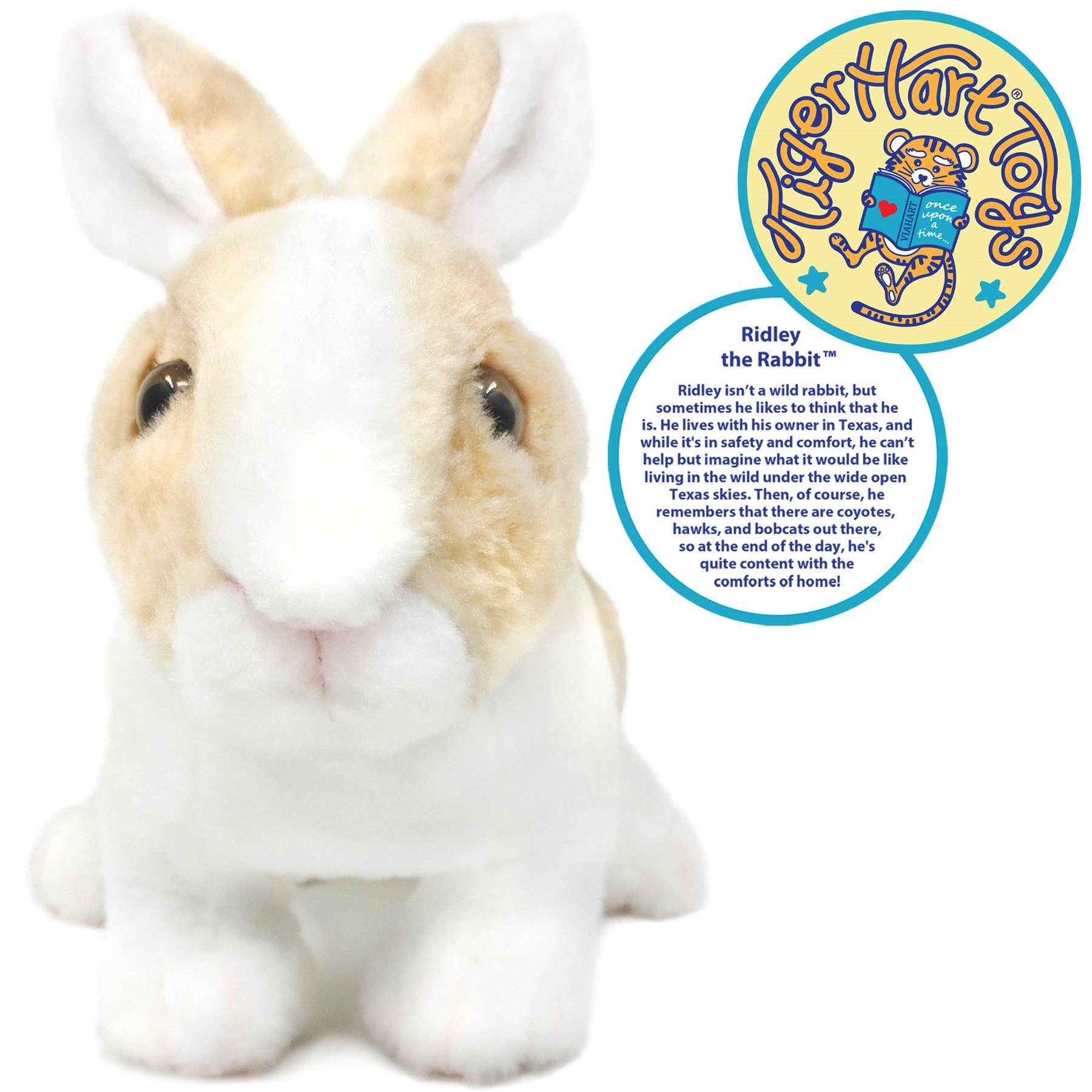 VIAHART Toy Co. - Wholesale Stuffed/Plush Toy - Kids & Baby - Ridley The Rabbit | 11 Inch Stuffed Animal Plush3
