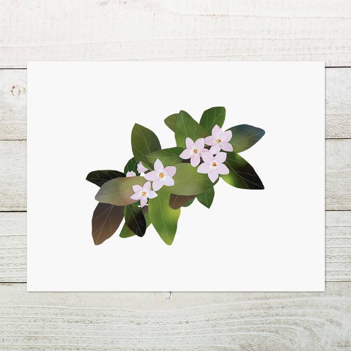 Mayflower-Print für den Großhandel von Angela Doak