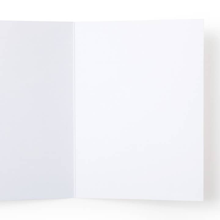Onderkast Studio - Wholesale Get Well Card - Wishing You a Swift Recovery Greeting Card