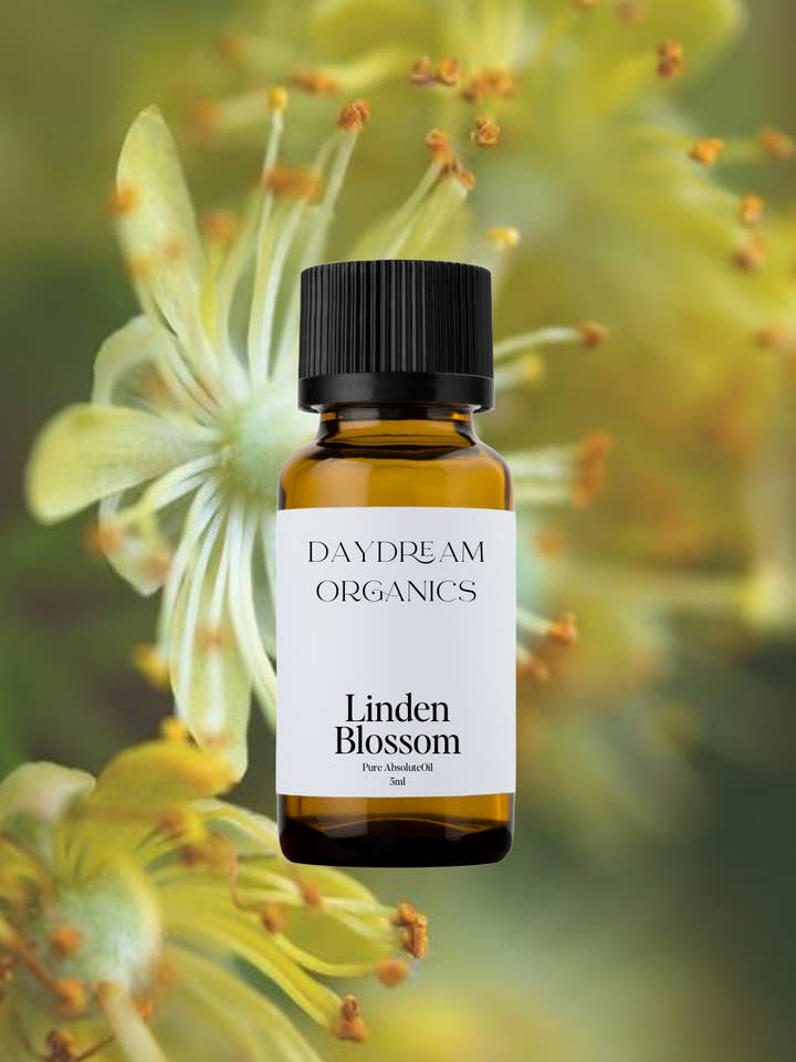 Linden Blossom Absolute Oil for wholesale by Daydream Organics | Prairie Doctor Brand