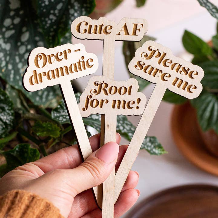 The Print Pantry - Wholesale Garden/Lawn Stake - Funny Wooden Plant Markers