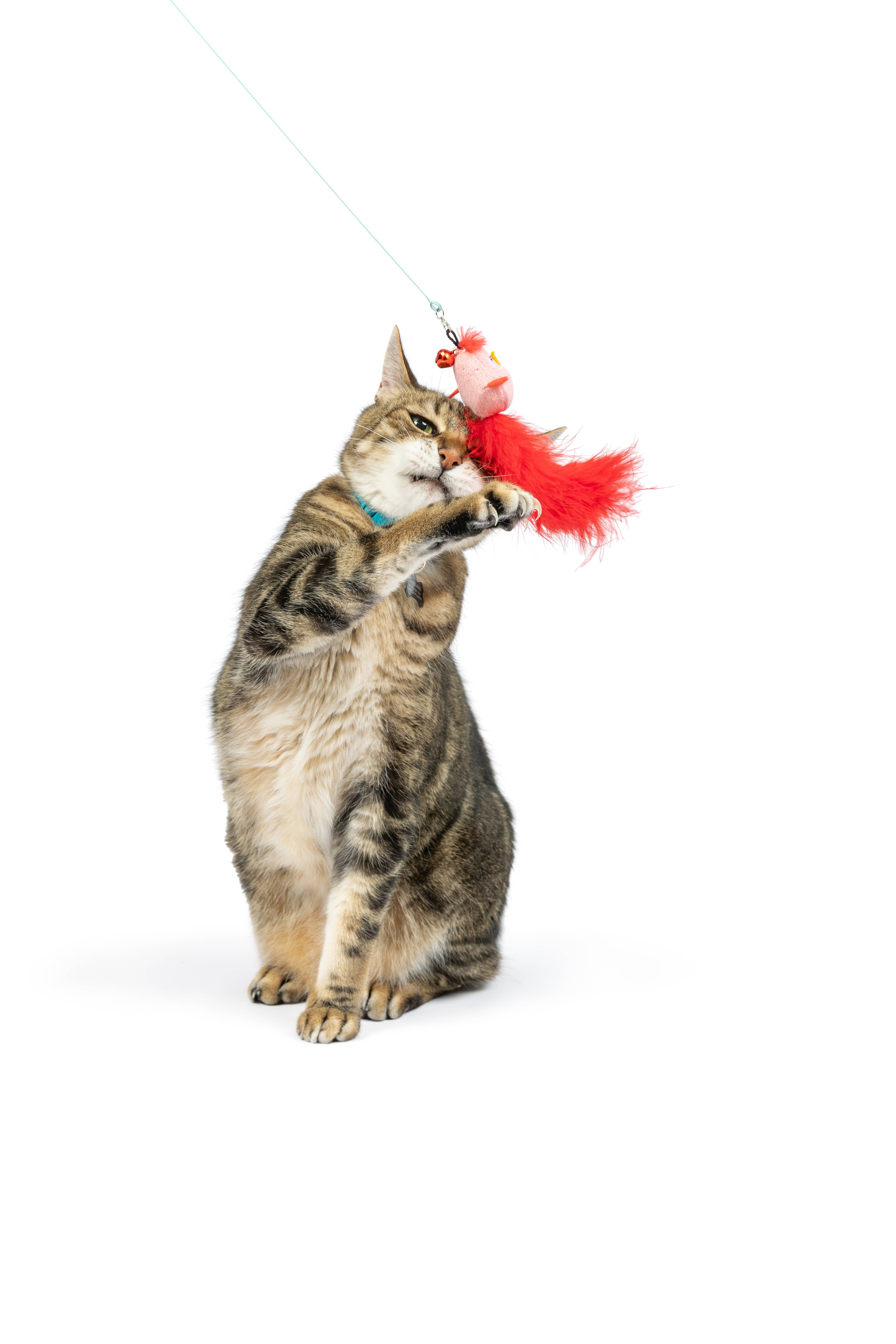 Huxley &amp; Kent - Wholesale Pet Toy - Cat - Wire Birdy &amp; Mouse Wand Cat Toy1