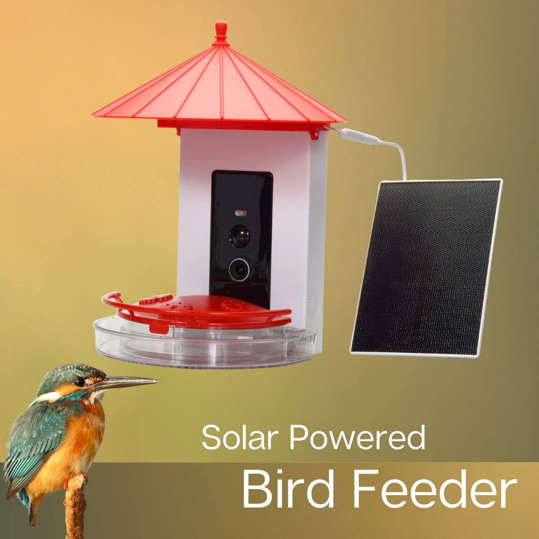 MobileVision - Wholesale Bird Feeder - Smart Hummingbird Feeder3