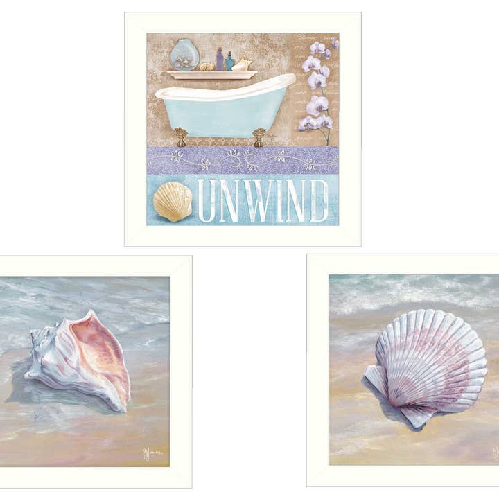 "Shells II Collection" 3-Piece Art Print by Mollie B. & G. for wholesale by Trendy Decor 4U