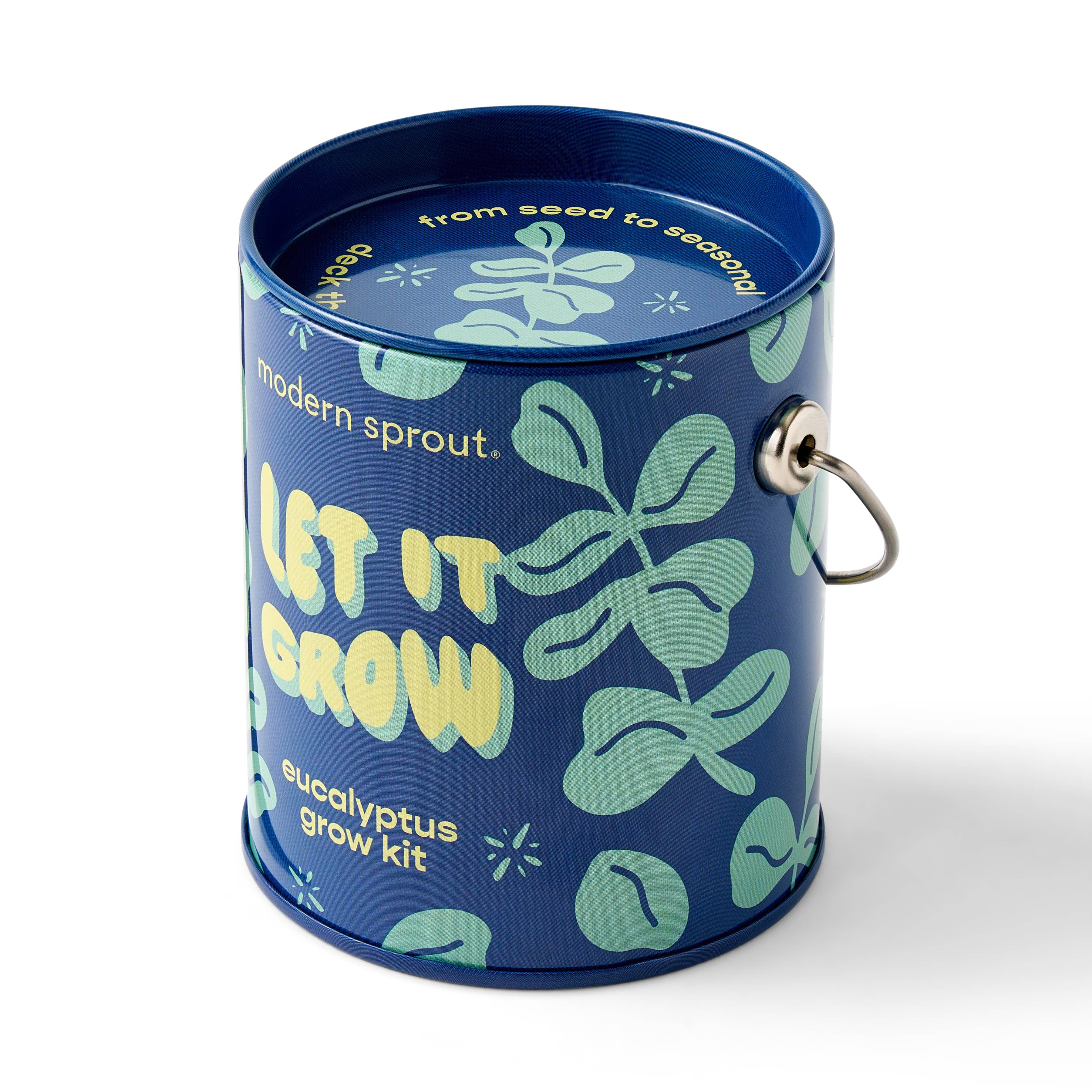 Modern Sprout - Wholesale Plant Seeds - Holiday Complimentary Colors Grow Kits6