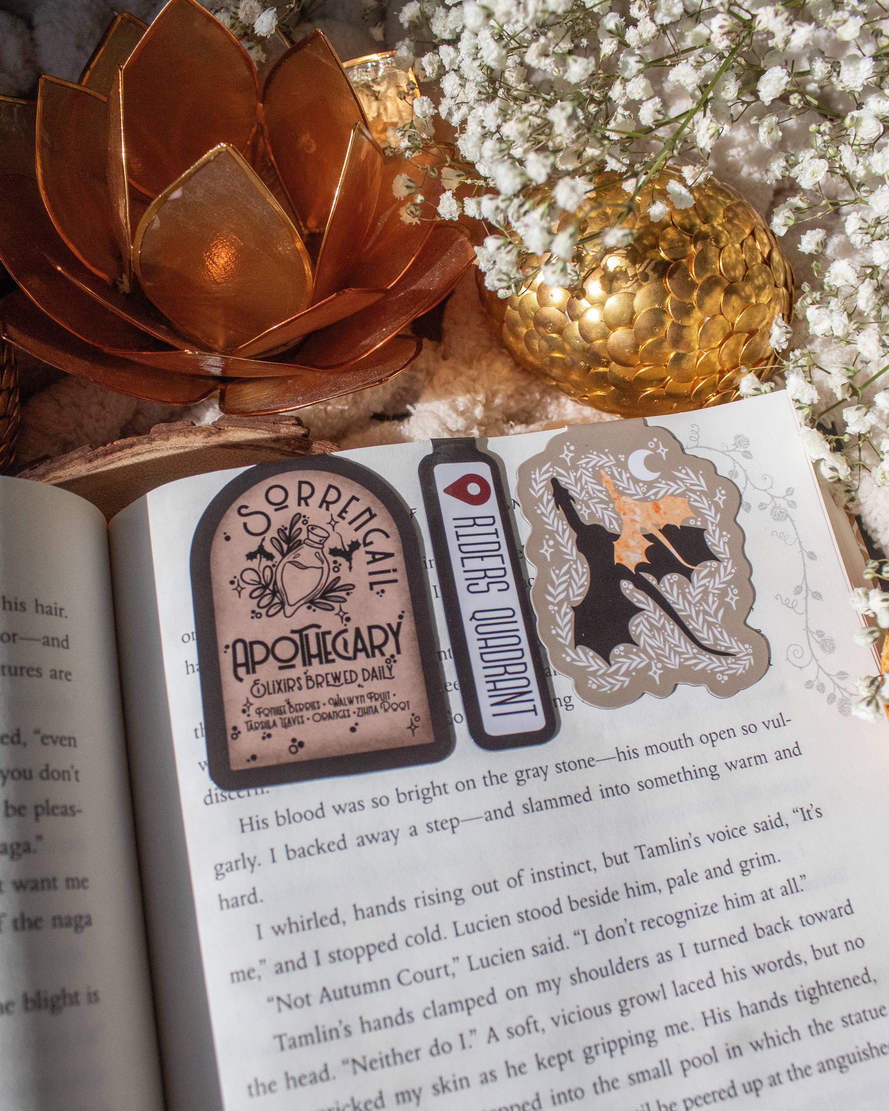 Meaggie Moos - Wholesale Bookmark - Fourth Wing Magnetic Bookmarks | Set of 33