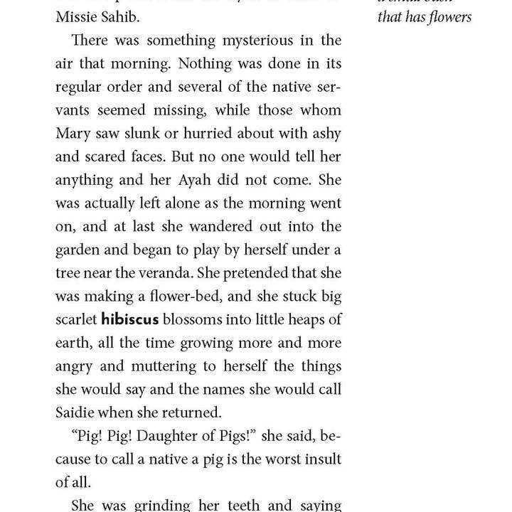 Bushel & Peck Books - Vendita all'ingrosso Libro per lettori principianti (6-8) - Il giardino segreto: L'edizione leggi-con-me10