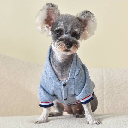 Amomi - Wholesale Pet Jacket - Dog - Striped Dog Sweatshirt2