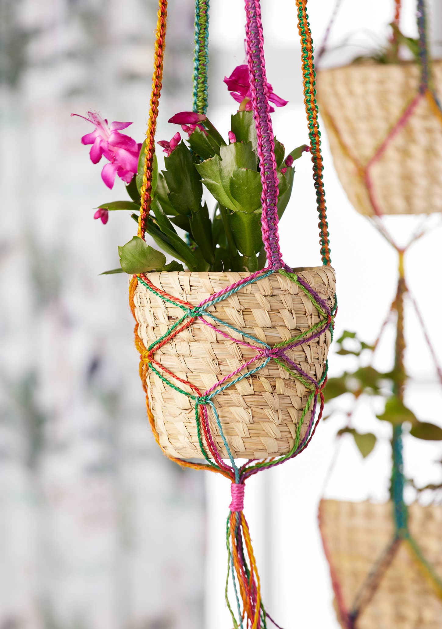 Namaste - Wholesale Hanging planter - Rainbow Jute Plant Hanger & Basket1