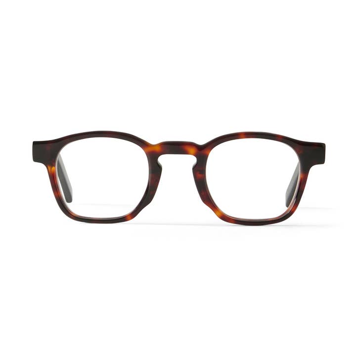 Enzo Sköldpadda för wholesale av French Kiwis