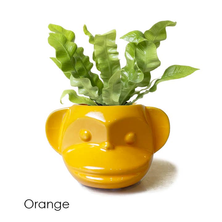 Chive - Wholesale Plant Pot - Funky Monkey Succulent Pot For Plants Cactus Pot 5 Inch2