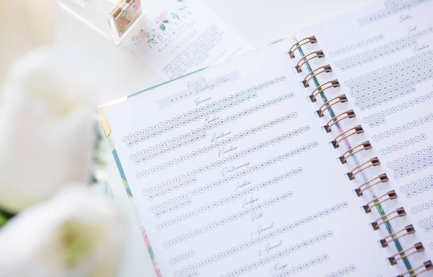 Chosen & Cherished - Wholesale Journal/Diary - Bible Journal for Verse by Verse Bible Study10