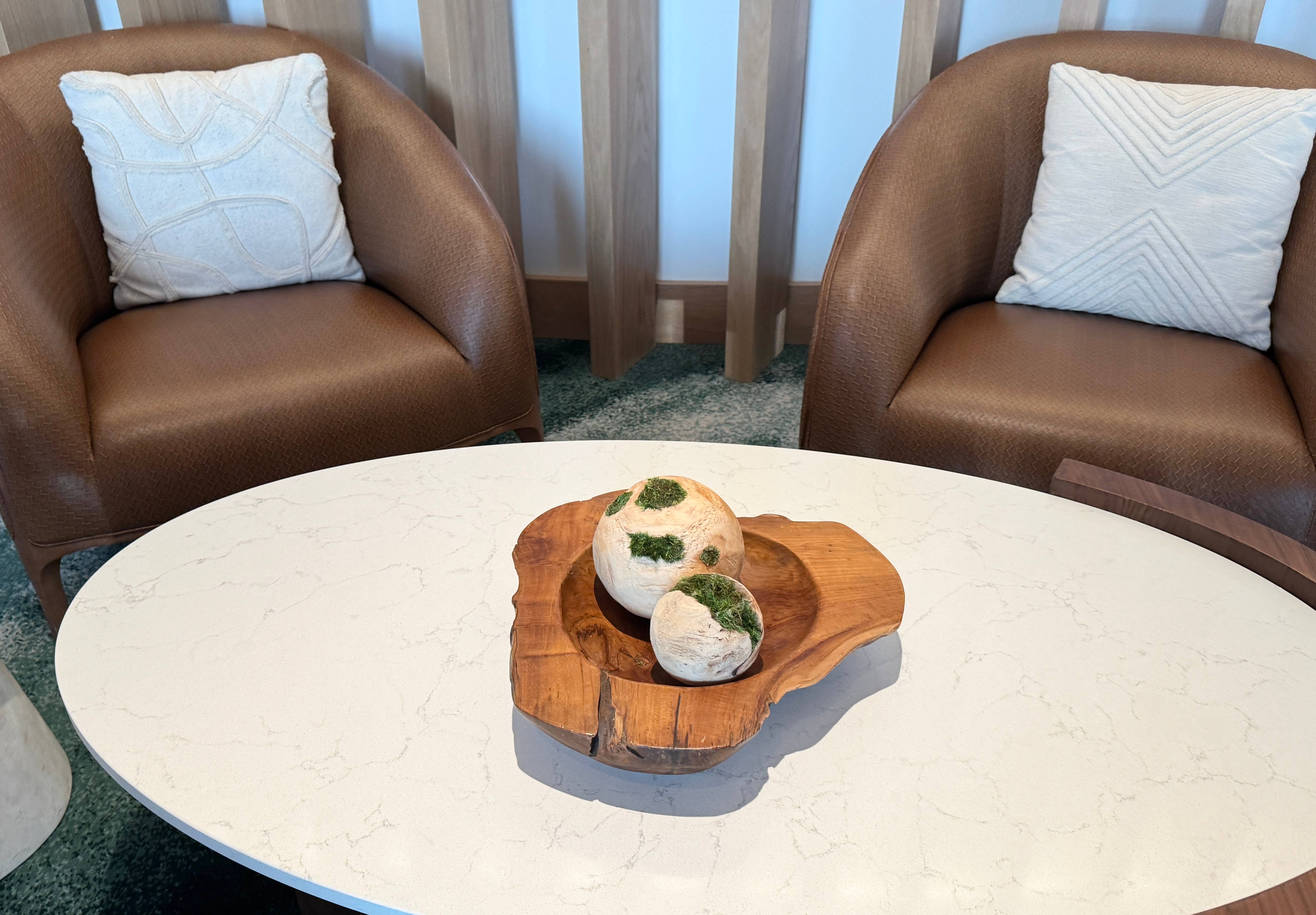 Angel Isabella - Wholesale Live Plant - 10oz or 1lb Bulk Pack-Naturally Preserved Green Moss4