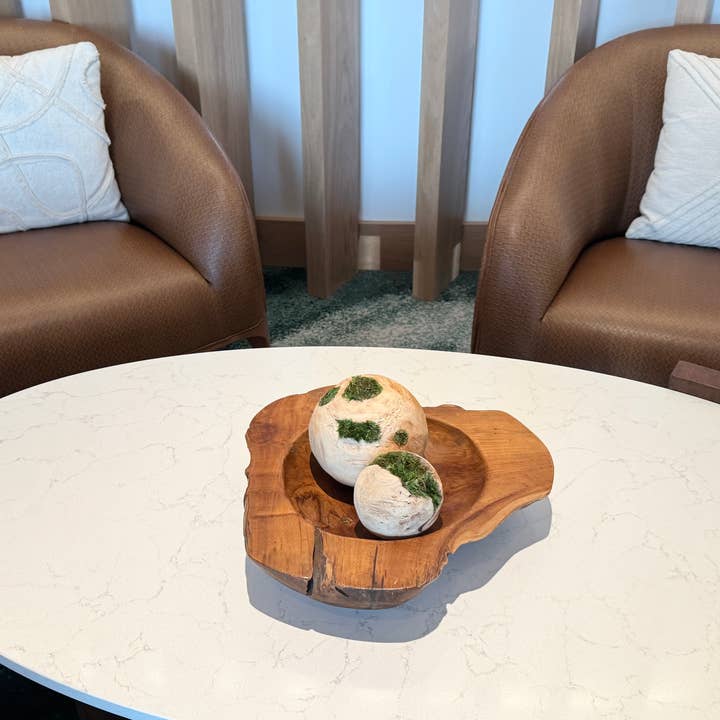 Angel Isabella - Wholesale Live Plant - 10oz or 1lb Bulk Pack-Naturally Preserved Green Moss4