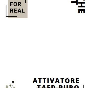 Eco For Real - Wholesale Laundry Detergent Powder/Pods - TAED PURE - percarbonate activator1