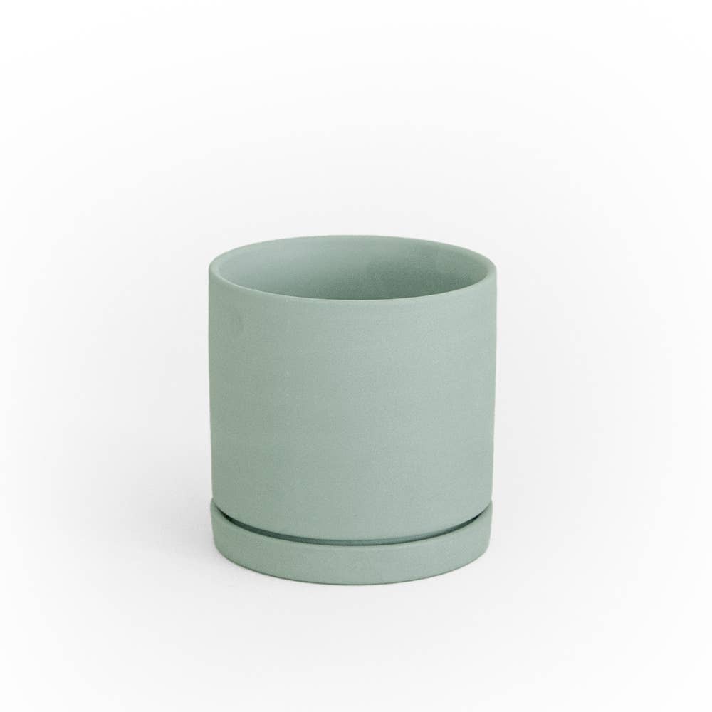 Chive - Wholesale Plant Pot - Dojo Flower Planter Pots With Drainage 3 Inch Planter17