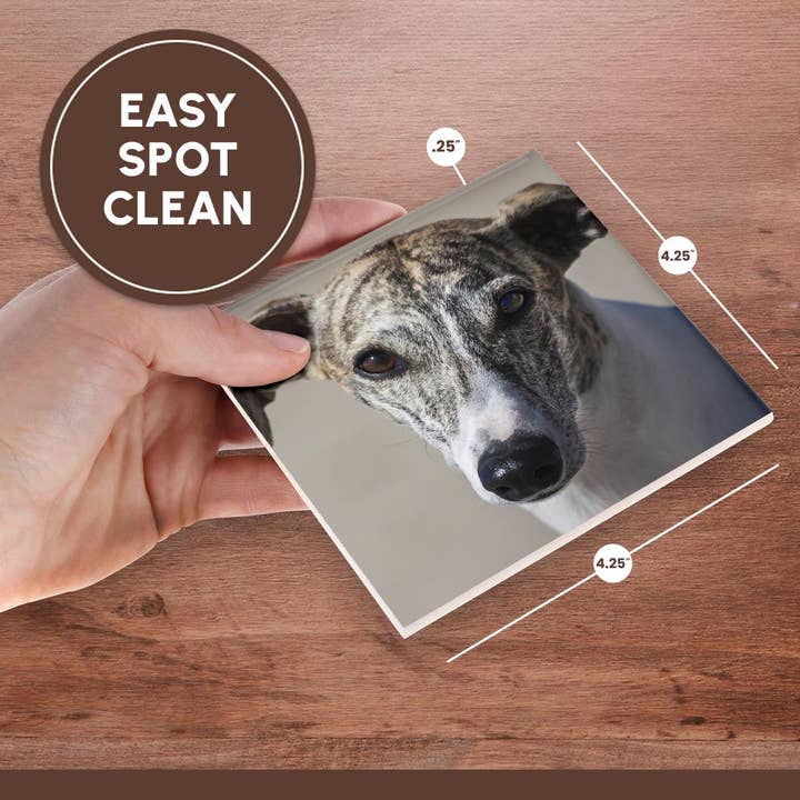 3dRose - Wholesale Coasters - 3dRose, Portrait of a Whippet, Coaster6