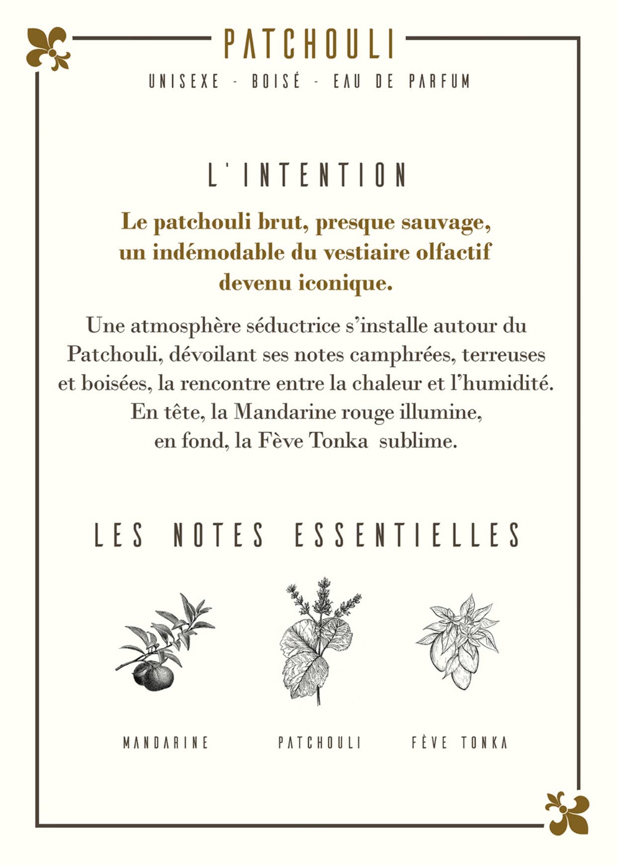 Les Parfums D'Uzège – Engroshandel Parfume/eau de toilette – Patchouli Eau de Parfum 50 ml3