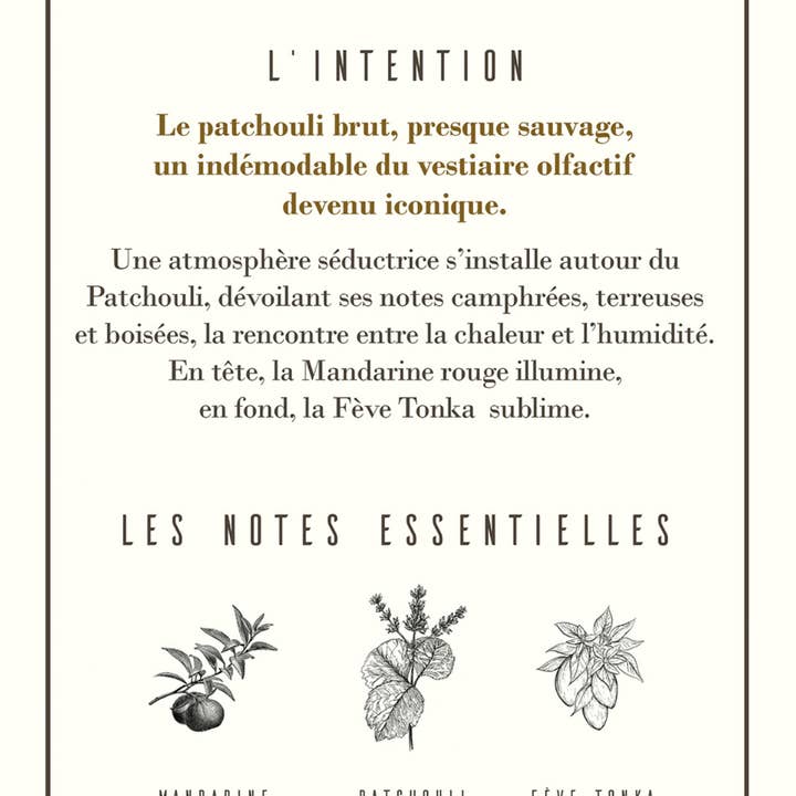 Les Parfums D'Uzège - Wholesale Perfume/Eau de Toilette - Patchouli collection 19