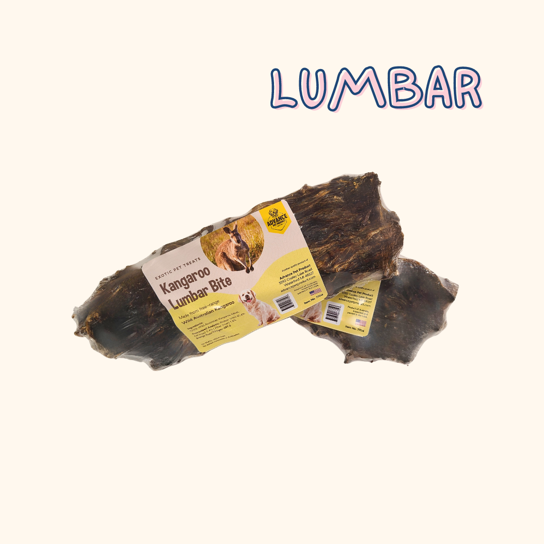 Advance Pet Products - Vente Friandises – chien - Friandises pour fémur de kangourou et lombaires élevées en liberté1