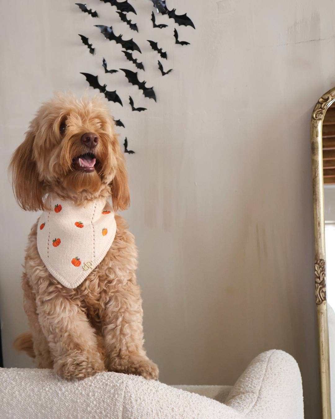 The Deluxe Pup - Vendita all'ingrosso Bandana - Cani - Bandana Autunnale per Cani « Pumpkin Hollow » con Chiusura a Scatto2