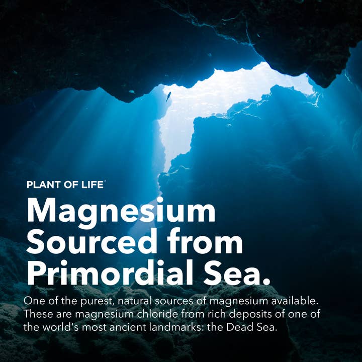 Plant of Life - Wholesale Pain Relief Spray/Cream - Magnesium Oil - Pure Elemental Magnesium - 8 oz / 240ml5