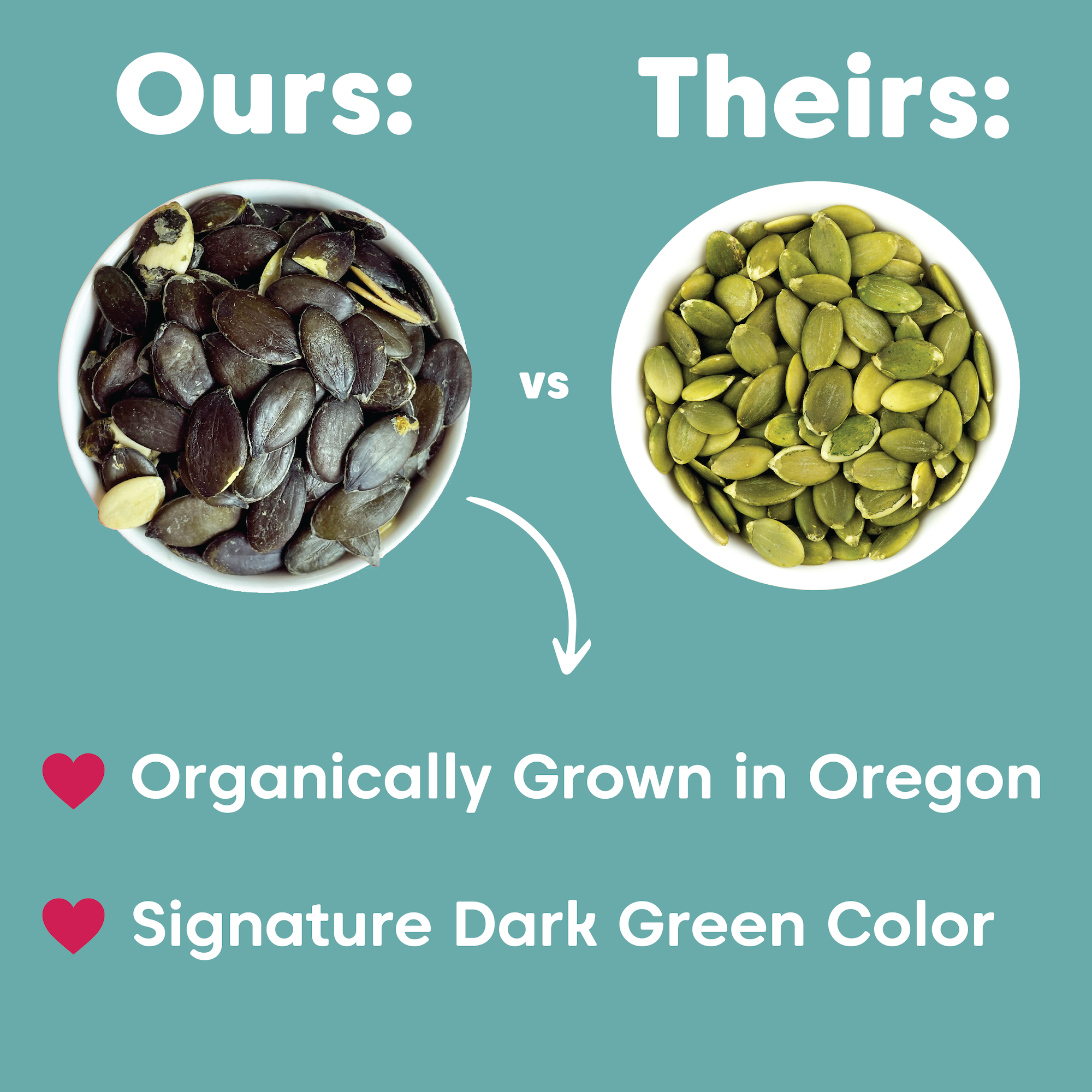 Wilderness Poets - Wholesale Seeds/Kernels - Organic Oregon Pumpkin Seeds1