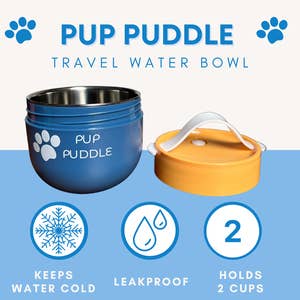 Puddles 2 Oceans Water Bottle with Snack Compartment, 2 in 1 Insulated  Water Bottle with Storage Container, Stainless Steel Water Bottles, Kids  Water