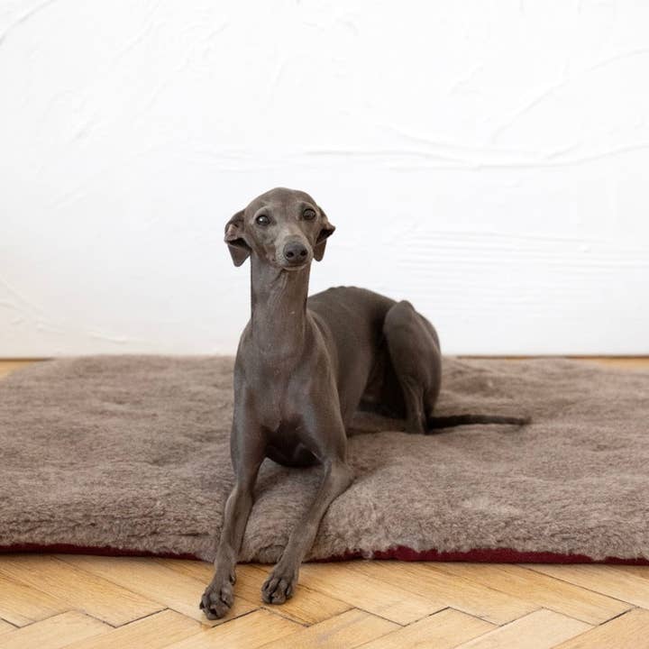 Mellow – wholesale Husdjursbädd – Hund – Fyrkantig eller rektangulär naturlig ull husdjursmatta - beige