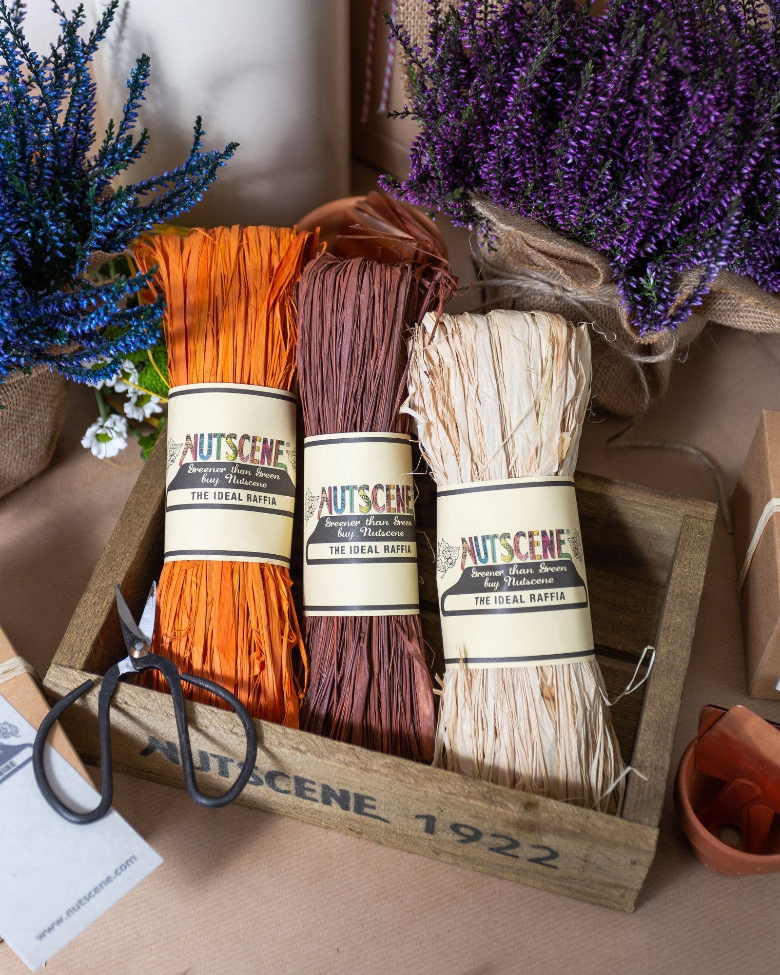 Nutscene Twines Ltd – wholesale Snöre – Blandad ask med 24 naturfärgade raffiahärvor2