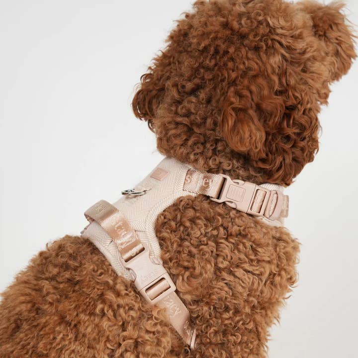 Staey - Wholesale Pet harness – Dog - Elma Dog Harness | Light Rose5
