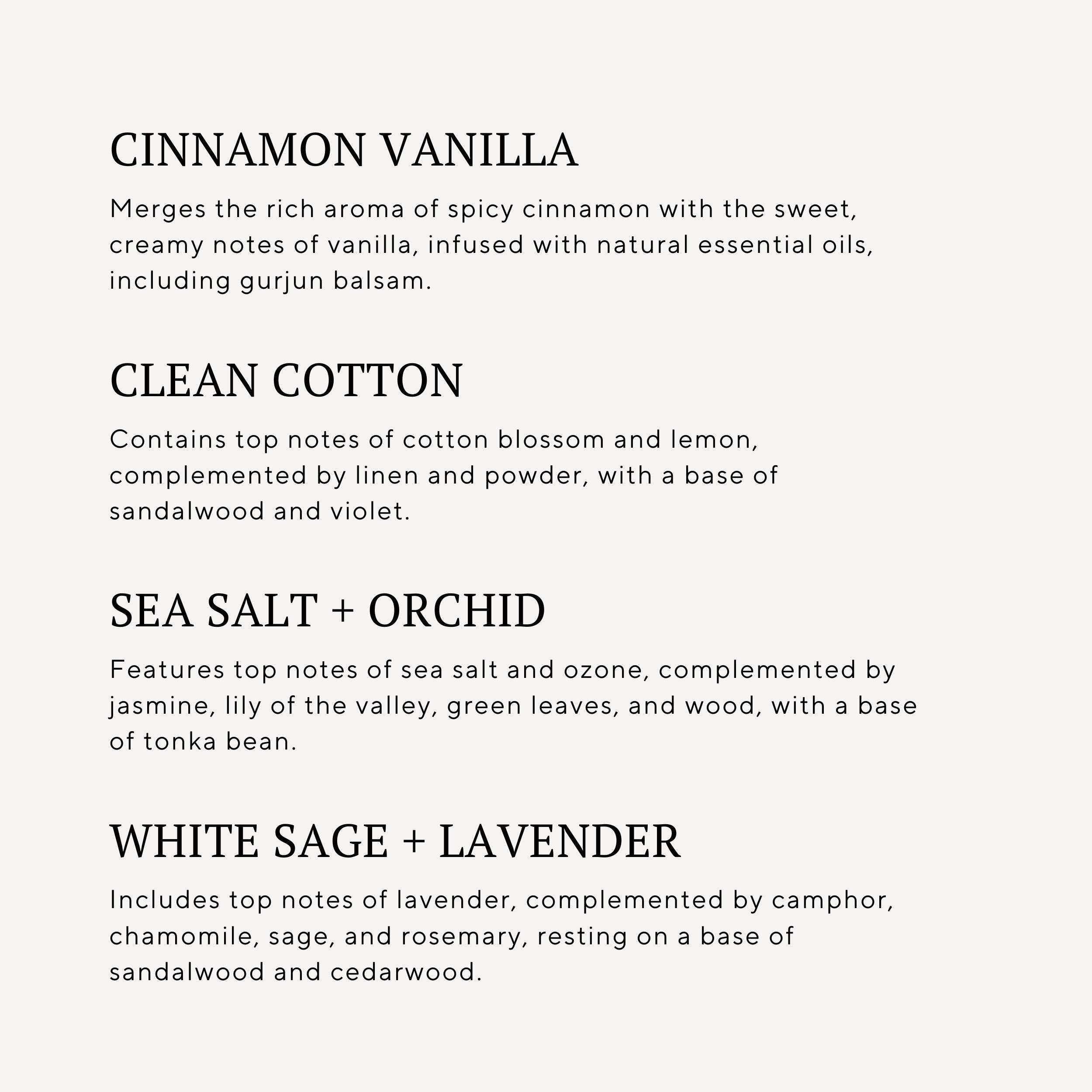 Scented Serenade - Wholesale Jar/Filled Candle - Basic Witch Halloween Candle and Party Decor Gift2