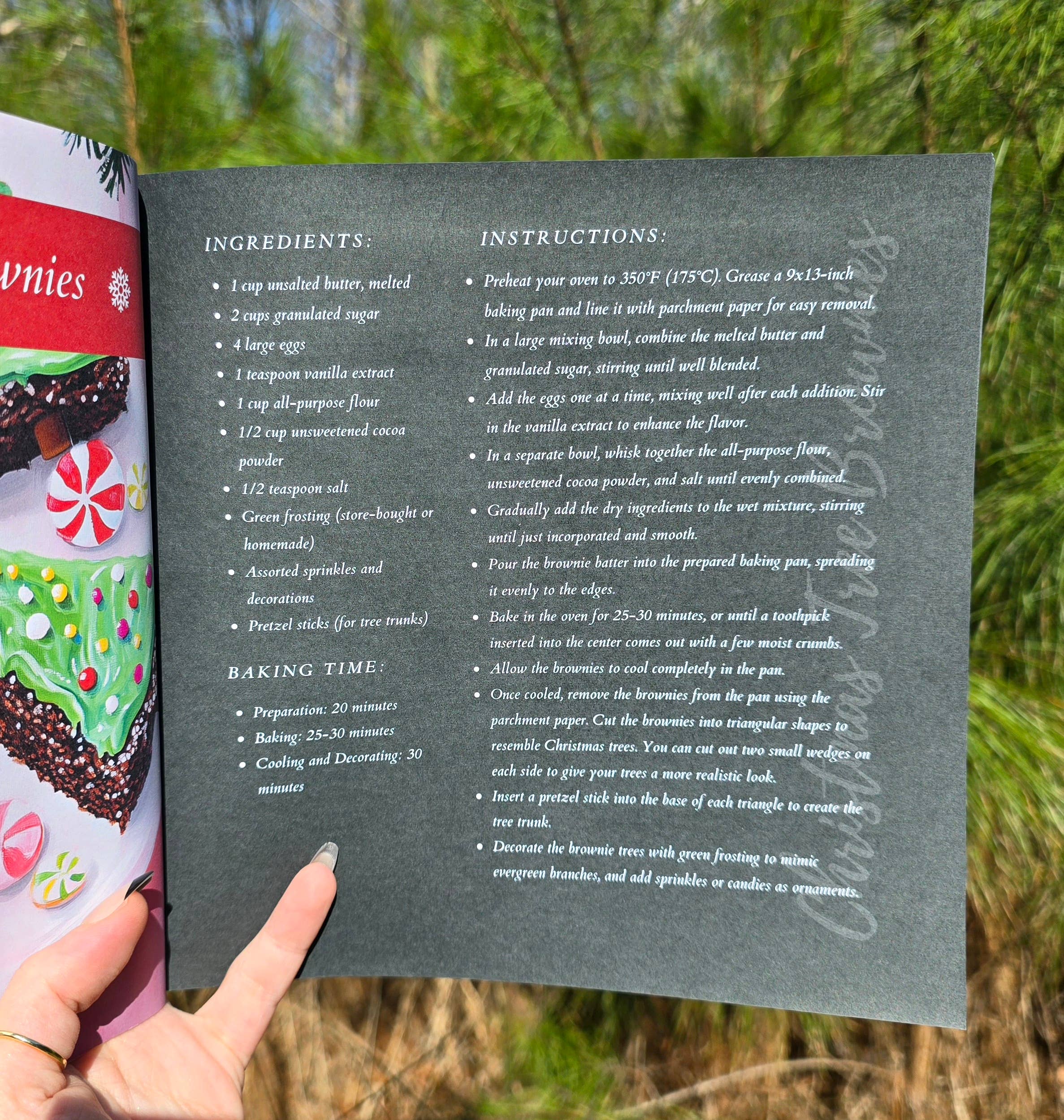 Author Linda Blackmoor - Wholesale Baking & Dessert - My Very First Christmas Baking Recipes Book2