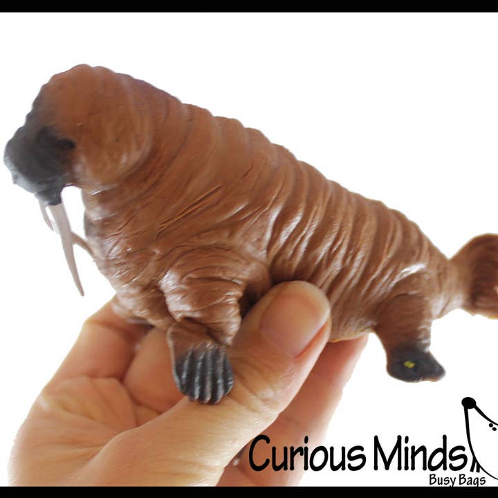 Curious Minds Toys – wholesale Mjuk leksak - Barn och baby – 1 Walrus Stretchy and Squeezy Toy - Crunchy Pärlfylld - Fi